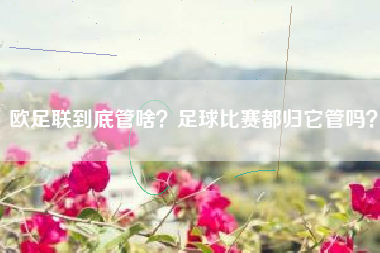 欧足联到底管啥？足球比赛都归它管吗？