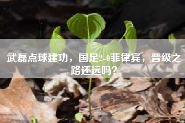 武磊点球建功，国足2-0菲律宾，晋级之路还远吗？