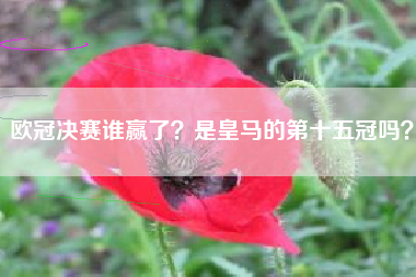 欧冠决赛谁赢了？是皇马的第十五冠吗？