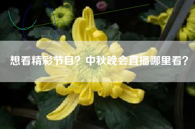 想看精彩节目？中秋晚会直播哪里看？