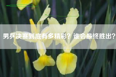 男乒决赛到底有多精彩？谁会最终胜出？