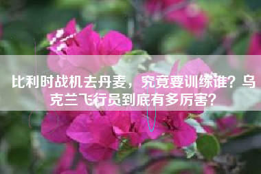 比利时战机去丹麦，究竟要训练谁？乌克兰飞行员到底有多厉害？