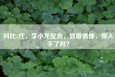 科比5代，李小龙配色，致敬偶像，你入手了吗？