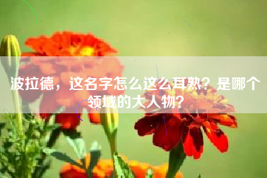 波拉德，这名字怎么这么耳熟？是哪个领域的大人物？