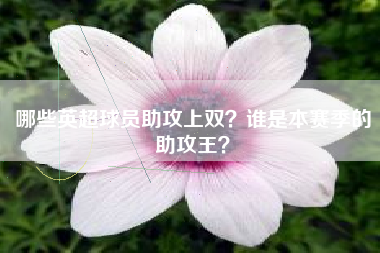 哪些英超球员助攻上双？谁是本赛季的助攻王？