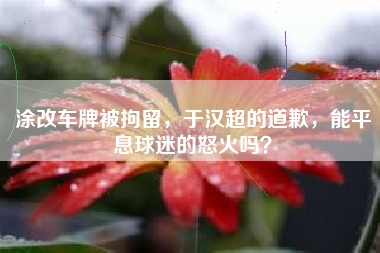 涂改车牌被拘留，于汉超的道歉，能平息球迷的怒火吗？
