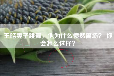 王皓妻子跳舞，他为什么愤然离场？ 你会怎么选择？