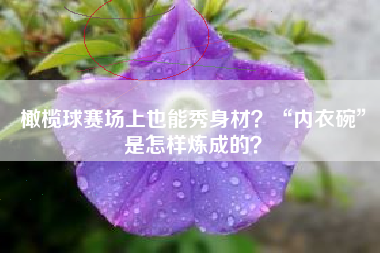 橄榄球赛场上也能秀身材？“内衣碗”是怎样炼成的？