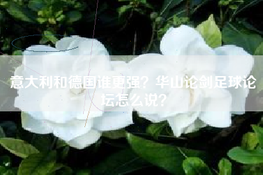 意大利和德国谁更强？华山论剑足球论坛怎么说？