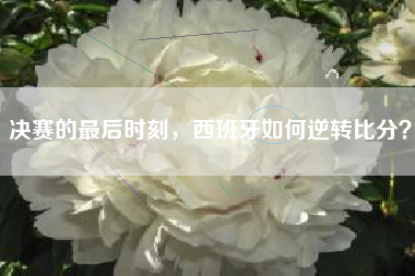 决赛的最后时刻，西班牙如何逆转比分？