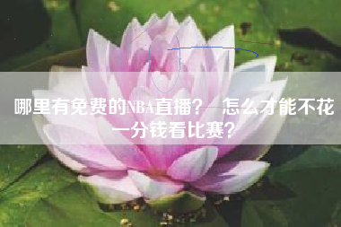 哪里有免费的NBA直播？  怎么才能不花一分钱看比赛？