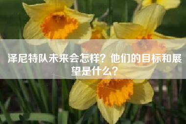 泽尼特队未来会怎样？他们的目标和展望是什么？