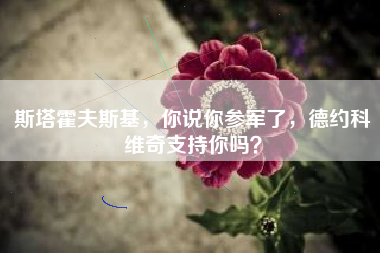 斯塔霍夫斯基，你说你参军了，德约科维奇支持你吗？