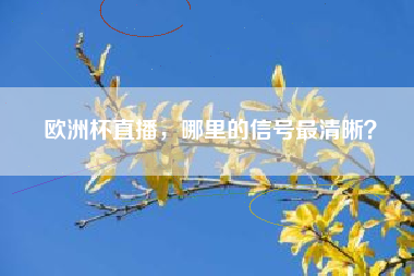 欧洲杯直播，哪里的信号最清晰？