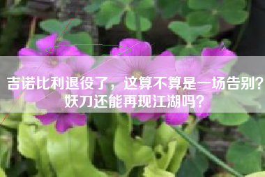 吉诺比利退役了，这算不算是一场告别？妖刀还能再现江湖吗？
