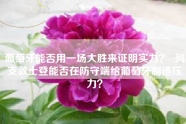 葡萄牙能否用一场大胜来证明实力？  列支敦士登能否在防守端给葡萄牙制造压力？