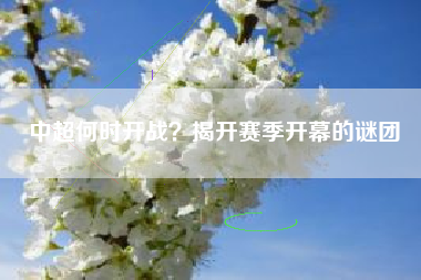 中超何时开战？揭开赛季开幕的谜团