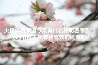 央视体育频道今天有什么精彩赛事？今晚的节目表里有我喜欢的比赛吗？