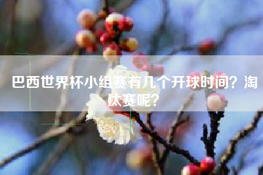 巴西世界杯小组赛有几个开球时间？淘汰赛呢？
