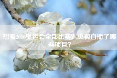 想看2016奥运会全部比赛？央视直播了哪些项目？
