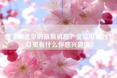 想了解北京的最新消息？北京电视台节目里有什么你感兴趣的？