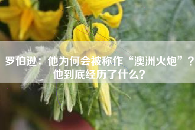 罗伯逊：他为何会被称作“澳洲火炮”？他到底经历了什么？