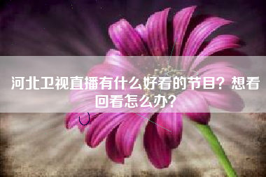 河北卫视直播有什么好看的节目？想看回看怎么办？