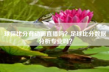 球探比分有动画直播吗？足球比分数据分析专业吗？