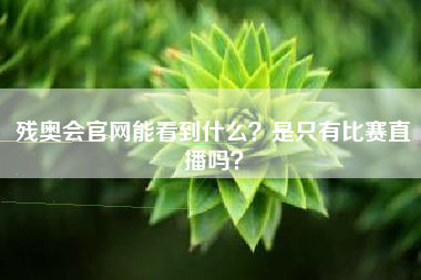 残奥会官网能看到什么？是只有比赛直播吗？