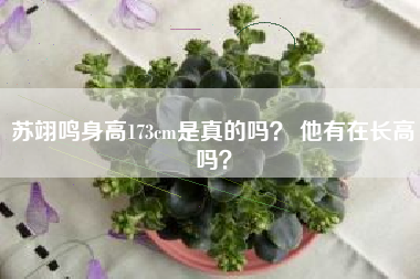 苏翊鸣身高173cm是真的吗？ 他有在长高吗？