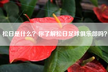 松日是什么？你了解松日足球俱乐部吗？