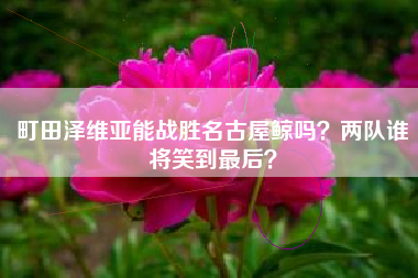 町田泽维亚能战胜名古屋鲸吗？两队谁将笑到最后？