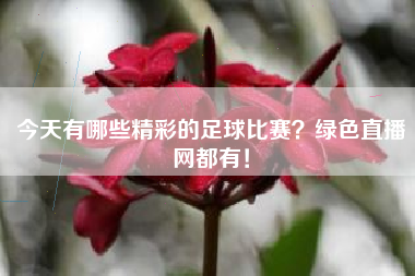 今天有哪些精彩的足球比赛？绿色直播网都有！