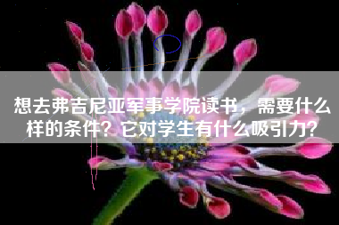 想去弗吉尼亚军事学院读书，需要什么样的条件？它对学生有什么吸引力？