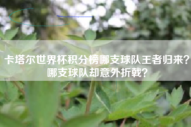 卡塔尔世界杯积分榜哪支球队王者归来？哪支球队却意外折戟？