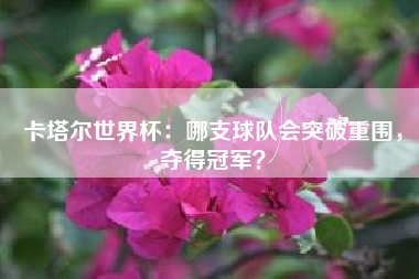 卡塔尔世界杯：哪支球队会突破重围，夺得冠军？