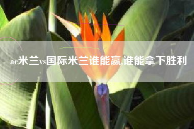 ac米兰vs国际米兰谁能赢,谁能拿下胜利