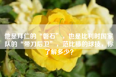 他是拜仁的“磐石”，也是比利时国家队的“带刀后卫”，范比滕的球技，你了解多少？