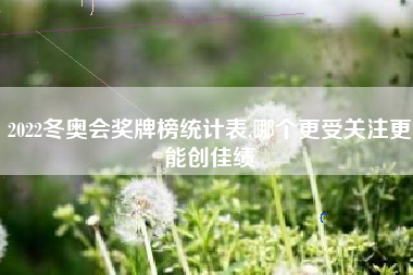 2022冬奥会奖牌榜统计表,哪个更受关注更能创佳绩