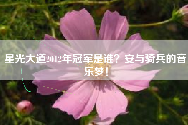 星光大道2012年冠军是谁？安与骑兵的音乐梦！