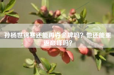孙杨世锦赛还能再夺金牌吗？他还能重返巅峰吗？