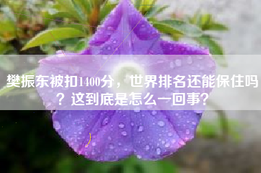 樊振东被扣1400分，世界排名还能保住吗？这到底是怎么一回事？