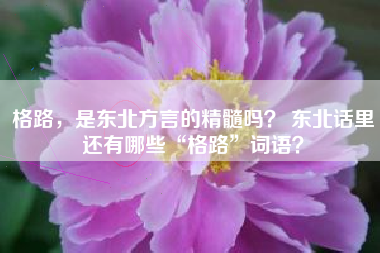 格路，是东北方言的精髓吗？ 东北话里还有哪些“格路”词语？
