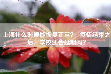 上海什么时候能恢复正常？  疫情结束之后，学校还会延期吗？