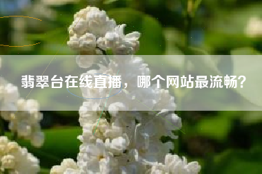 翡翠台在线直播，哪个网站最流畅？