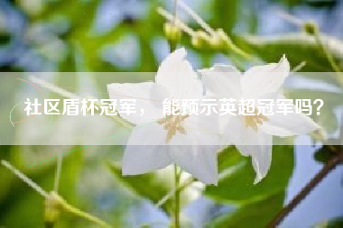 社区盾杯冠军， 能预示英超冠军吗？