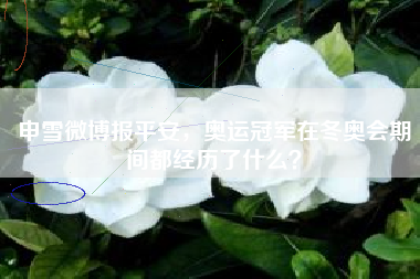 申雪微博报平安，奥运冠军在冬奥会期间都经历了什么？