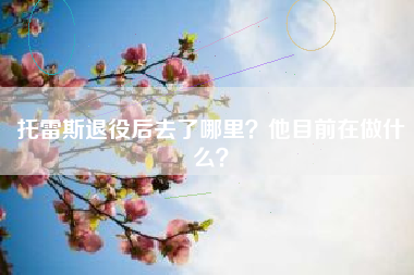 托雷斯退役后去了哪里？他目前在做什么？