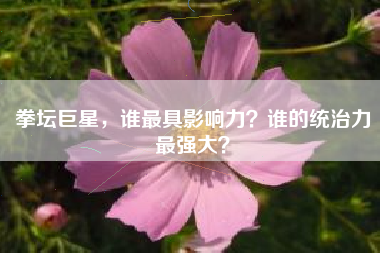 拳坛巨星，谁最具影响力？谁的统治力最强大？