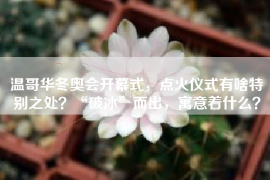 温哥华冬奥会开幕式，点火仪式有啥特别之处？“破冰”而出，寓意着什么？